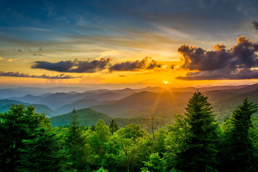 The History of Asheville Real Estate